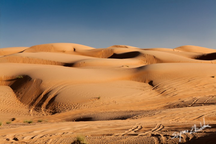 Oman, Wahiba Sands